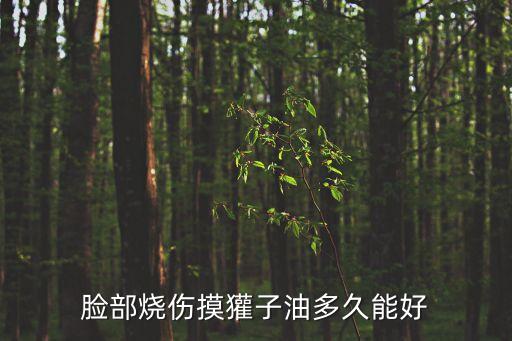 舅媽吧，我是男孩今年24歲我每天晚上都跟我親舅媽睡覺可以嗎舅媽今年41歲