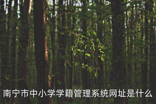 南寧市中小學(xué)學(xué)籍管理系統(tǒng)網(wǎng)址是什么