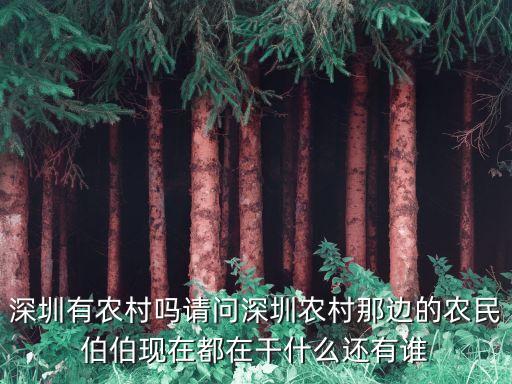 深圳農(nóng)村，深圳戶口農(nóng)村戶口哪個(gè)好