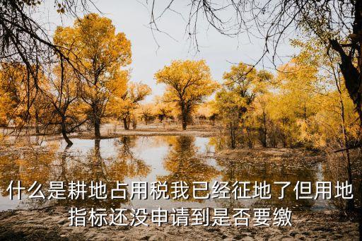 什么是耕地占用稅我已經(jīng)征地了但用地指標(biāo)還沒(méi)申請(qǐng)到是否要繳