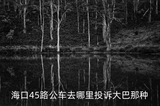 海口45路公車(chē)去哪里投訴大巴那種