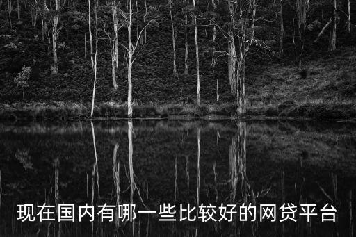 現(xiàn)在國(guó)內(nèi)有哪一些比較好的網(wǎng)貸平臺(tái)