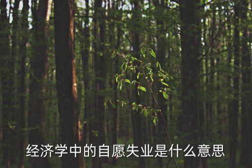 經(jīng)濟(jì)學(xué)中的自愿失業(yè)是什么意思