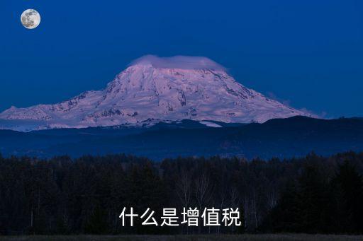 什么是增值稅