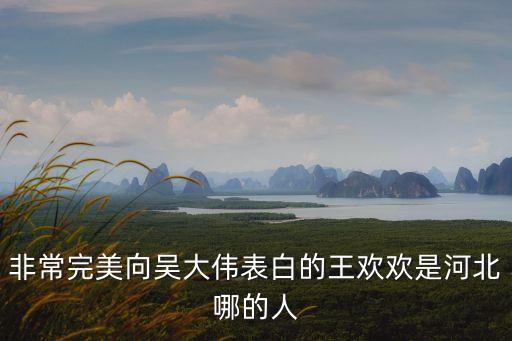 王歡歡，非常完美向吳大偉表白的王歡歡是河北哪的人