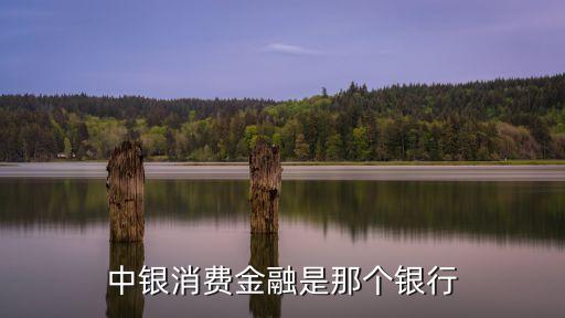 中銀消費金融是那個銀行