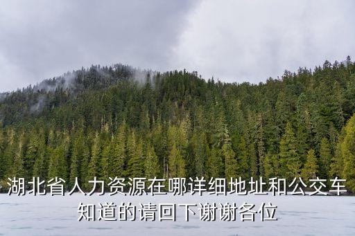湖北人社，請問湖北省社保局在哪里
