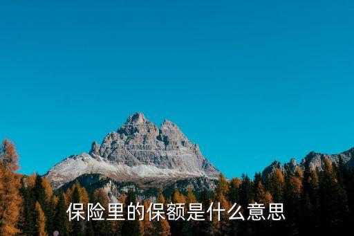 保險里的保額是什么意思