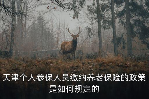 天津個(gè)人參保人員繳納養(yǎng)老保險(xiǎn)的政策是如何規(guī)定的