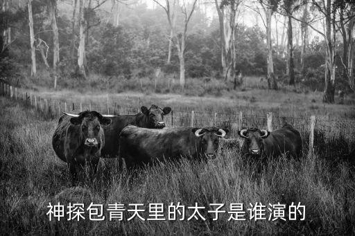 韓含，簡(jiǎn)要說(shuō)明韓含思想和宋明理學(xué)的關(guān)系