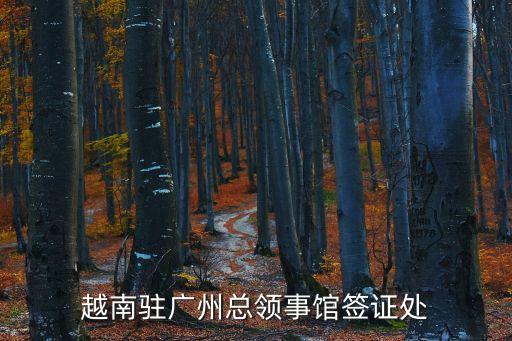 越南駐廣州總領(lǐng)事館簽證處
