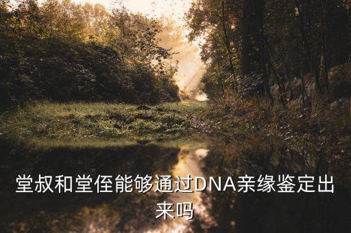 堂叔和堂侄能夠通過(guò)DNA親緣鑒定出來(lái)嗎