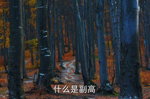 什么是副高