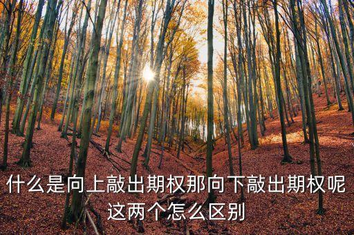 什么是向上敲出期權(quán)那向下敲出期權(quán)呢這兩個怎么區(qū)別