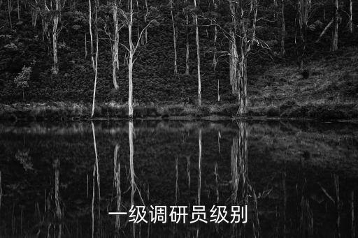 一級(jí)調(diào)研員，二級(jí)調(diào)研員和一級(jí)調(diào)研員工資相差多少