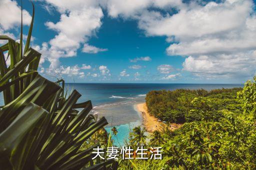 性生生活錄像，夫妻性生活