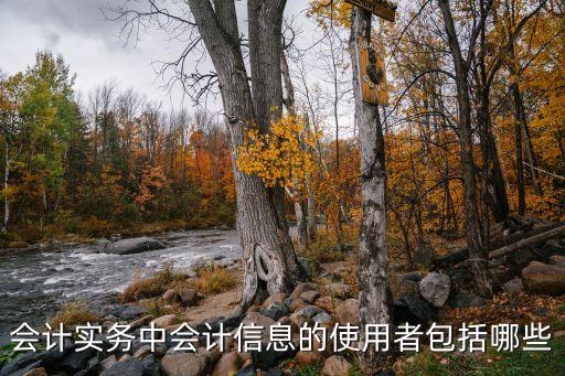 會(huì)計(jì)實(shí)務(wù)中會(huì)計(jì)信息的使用者包括哪些