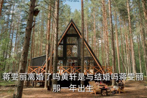 蔣雯麗離婚了嗎黃軒是與結(jié)婚嗎蔣雯麗那一年出生