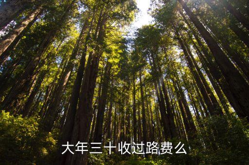 大年三十收過路費(fèi)么