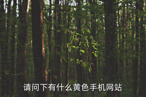 黃色地址，請(qǐng)問(wèn)下有什么黃色手機(jī)網(wǎng)站