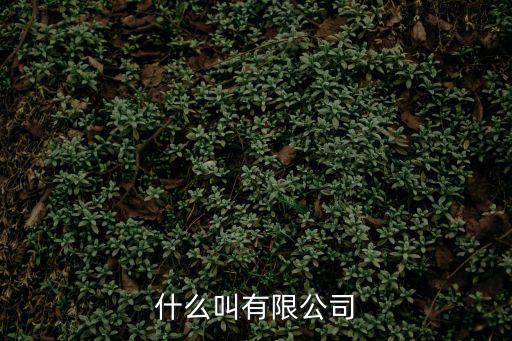 什么叫有限公司