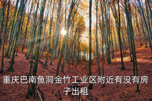 重慶巴南魚洞金竹工業(yè)區(qū)附近有沒有房子出租