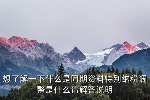 特別納稅調(diào)整，特別納稅調(diào)整是否要調(diào)整增值稅