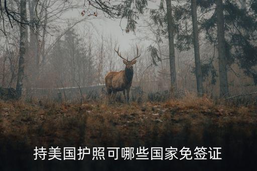 持美國護(hù)照可哪些國家免簽證