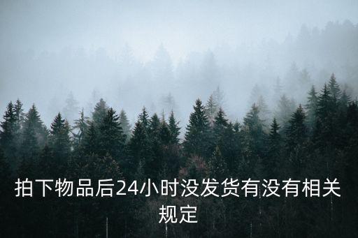 拍下物品后24小時沒發(fā)貨有沒有相關(guān)規(guī)定