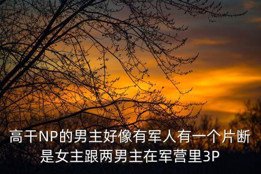 高干NP的男主好像有軍人有一個片斷是女主跟兩男主在軍營里3P