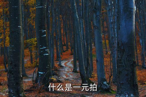 1元拍，神馬一元拍是什么
