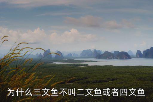 四文魚，四文虎魚28公分多少錢