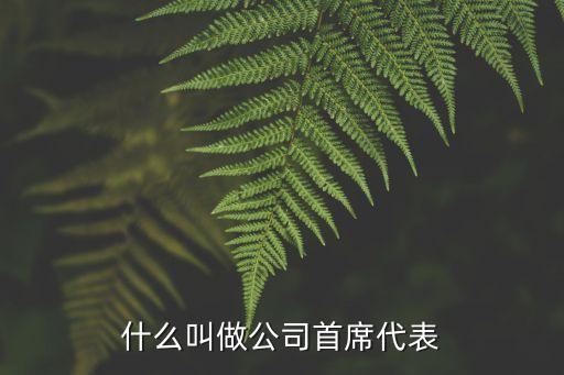 首席代表，什么叫做公司首席代表