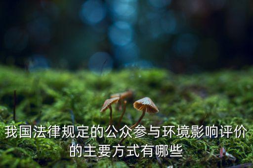 我國法律規(guī)定的公眾參與環(huán)境影響評價的主要方式有哪些