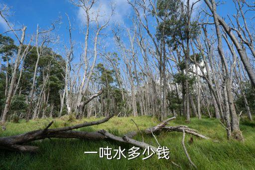 一噸水多少錢，水每噸多少錢