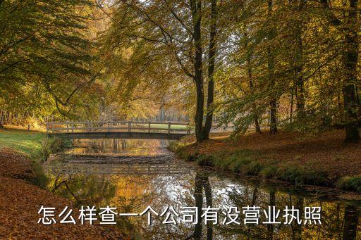 查工商營業(yè)執(zhí)照，問下工商營業(yè)執(zhí)照怎么查