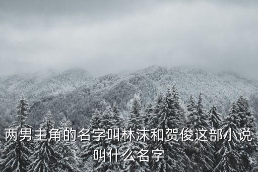 兩男主角的名字叫林沫和賀俊這部小說叫什么名字