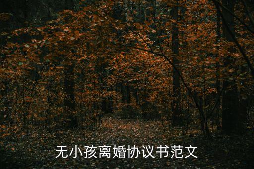 無小孩離婚協(xié)議書范文