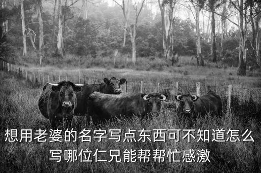 張艷娟，張艷娟為什么這么胖