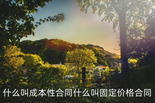 固定價(jià)格，什么叫成本性合同什么叫固定價(jià)格合同
