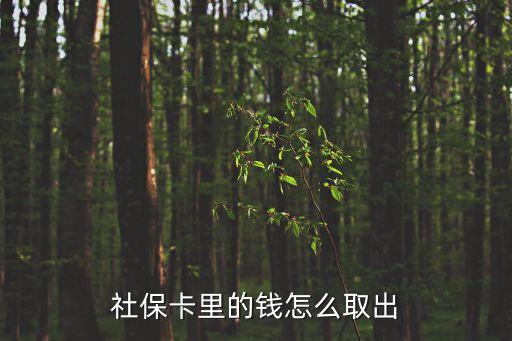 社?？ɡ锏腻X怎么取出