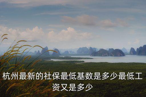 杭州社?；鶖?shù)，想了解杭州市社保參保最低基數(shù)是多少