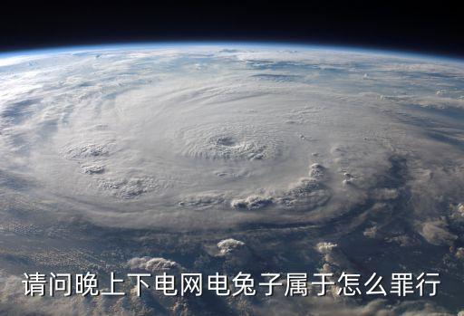 電兔子，請(qǐng)問晚上下電網(wǎng)電兔子屬于怎么罪行