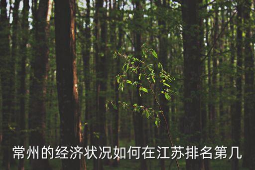 常州在江蘇算富裕嗎，常州的經(jīng)濟(jì)狀況如何在江蘇排名第幾