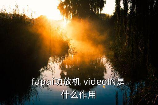 fapai功放機(jī) videoIN是什么作用