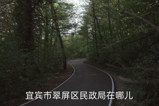 宜賓市翠屏區(qū)民政局在哪兒