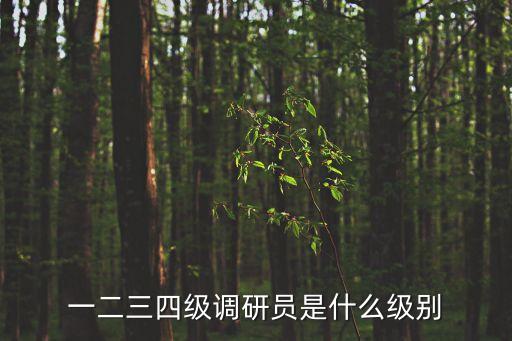 一二三四級調(diào)研員是什么級別