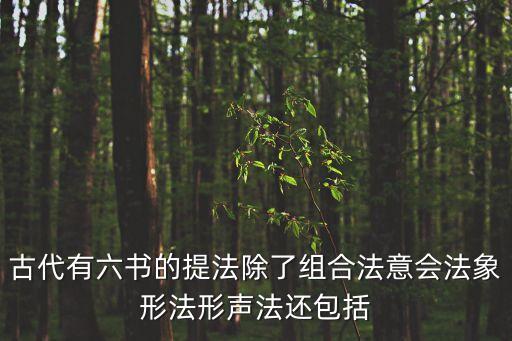 古代有六書的提法除了組合法意會法象形法形聲法還包括