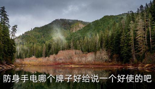 防身手電哪個牌子好給說一個好使的吧