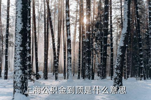 上海公積金到頂是什么意思